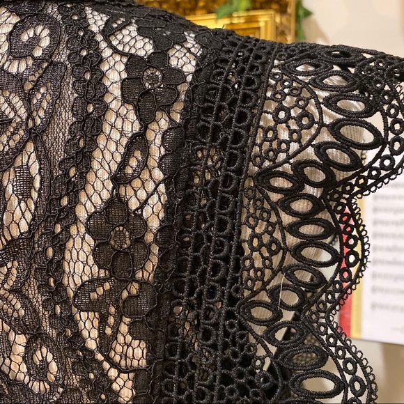 Zara Structured Lace top in Black - Picture 6 of 8